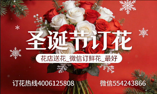 ���ݶ����ػ���