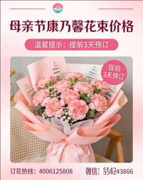 沧州东光县花店母亲节康乃馨花束