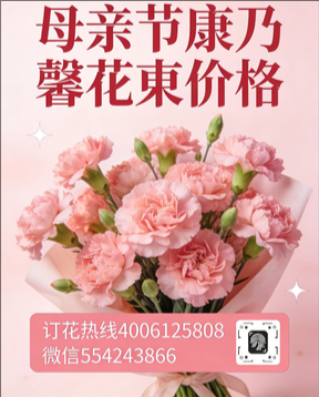 沧州东光县花店母亲节康乃馨花束